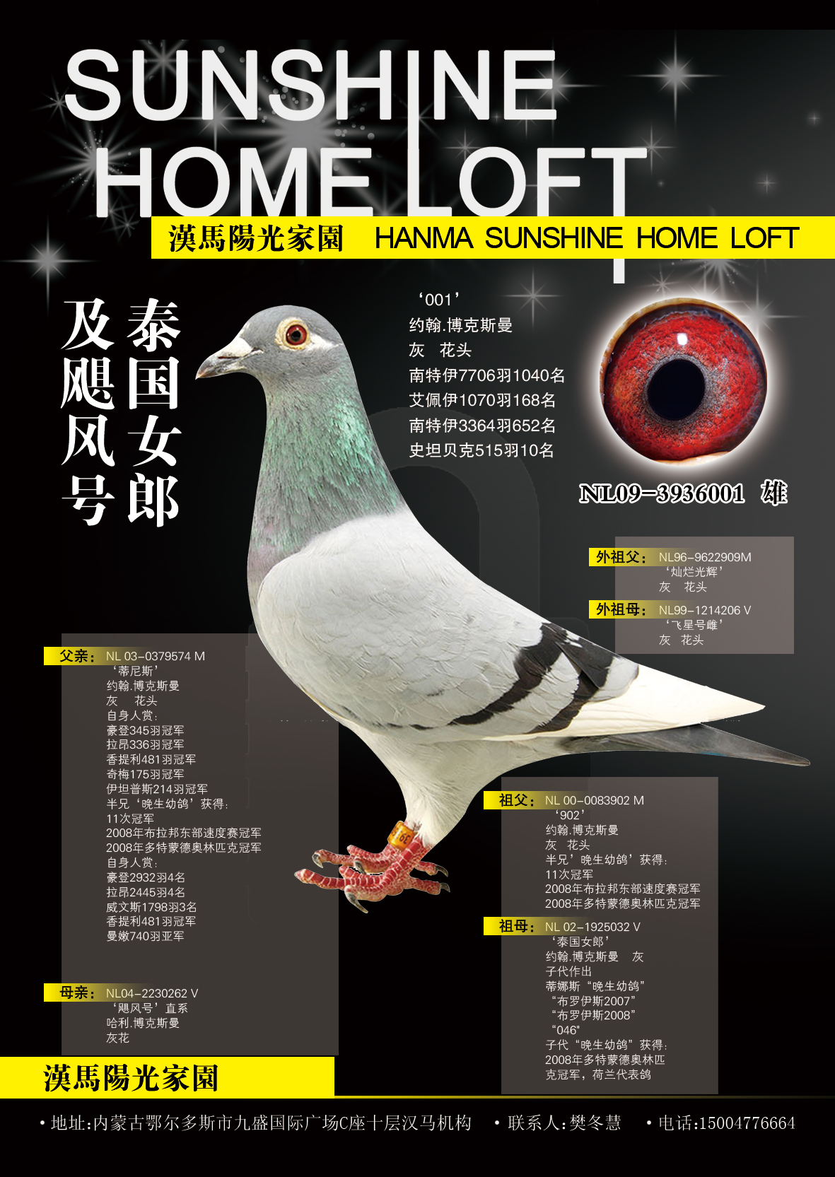 泰国女郎及飓风号