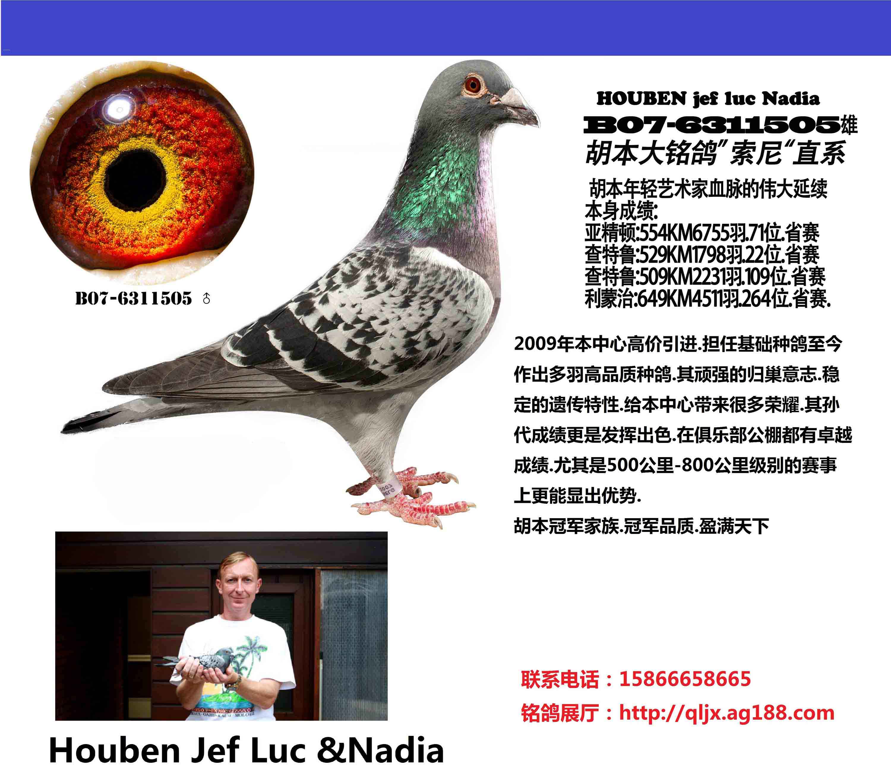 胡本冠军家族_千里竟翔赛鸽联盟_ ag188.com爱鸽商城_中国信鸽信息网