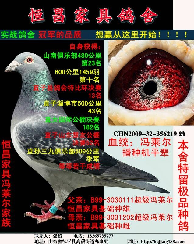 冯莱尔219_云南昆明继来鸽舍-中信网爱鸽商城