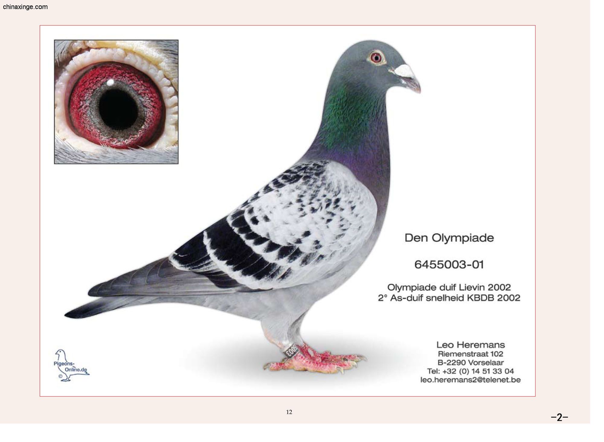 【蒂普士】回血