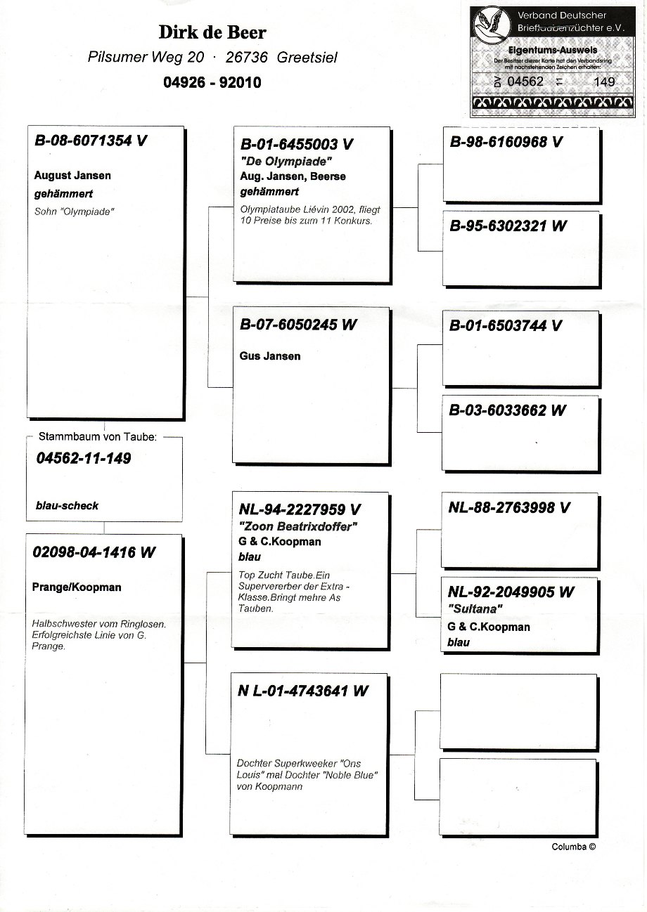 奥林匹克003直孙