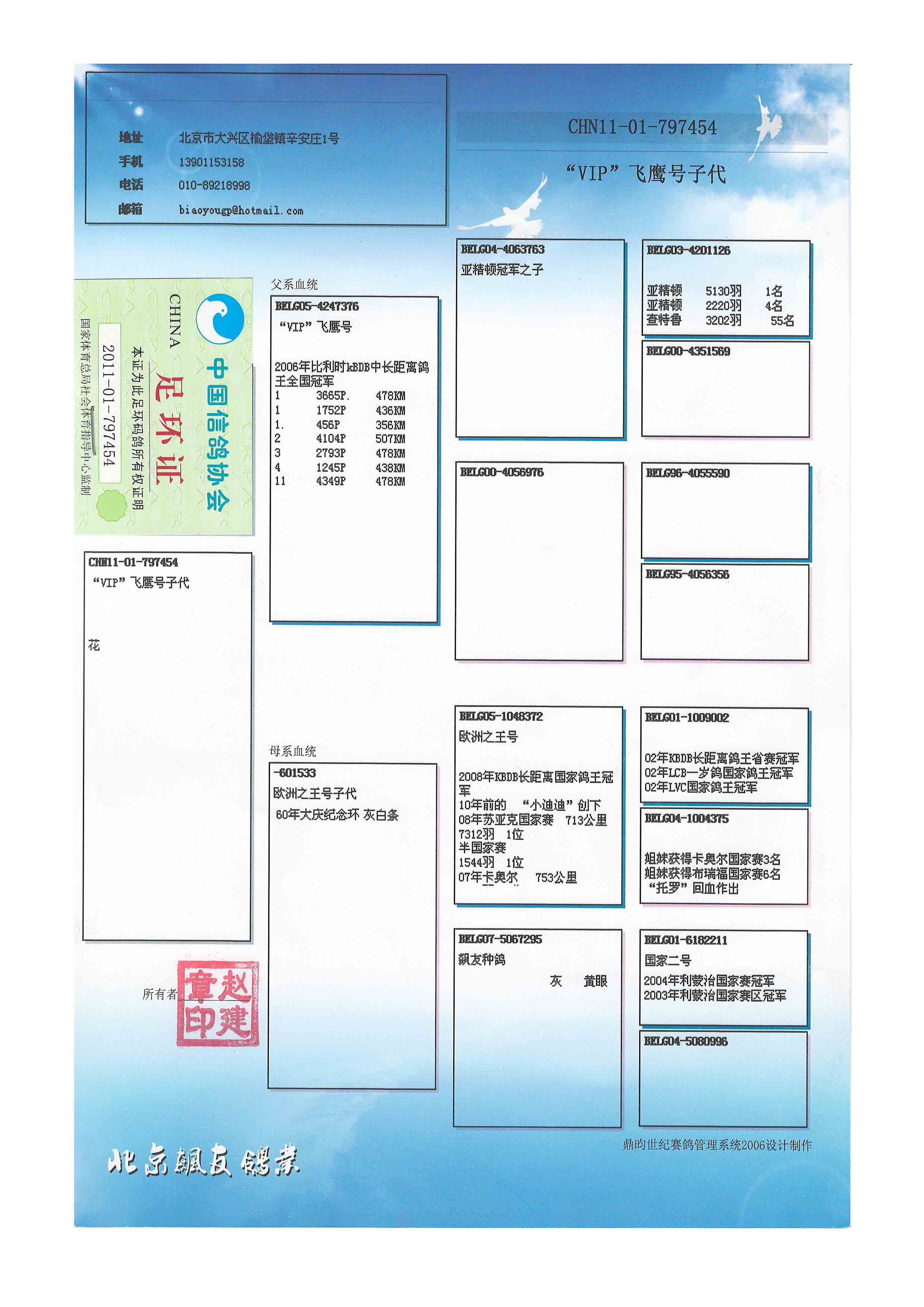 信鸽血统证书制作图片