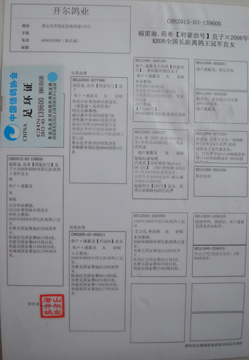 开尔血系_盛发鸽业-中信网爱鸽商城