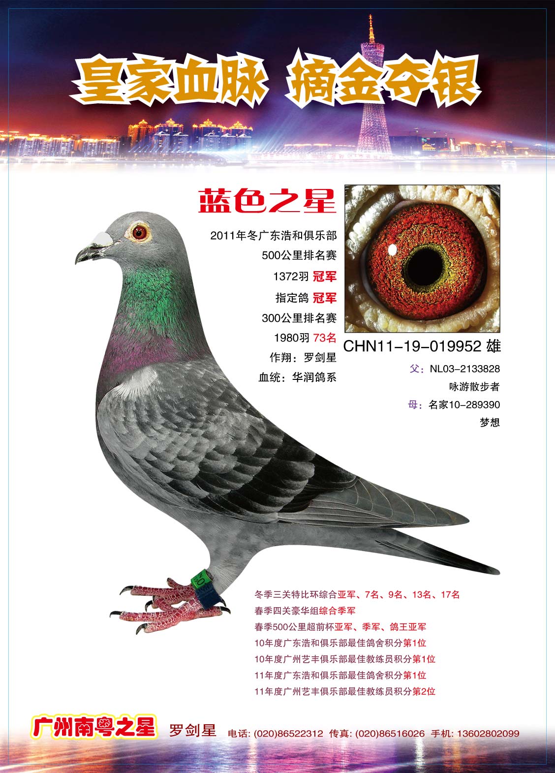 广东省超级强豪南粤之星罗剑星13秋季4关豪华组已经出售多谢关注