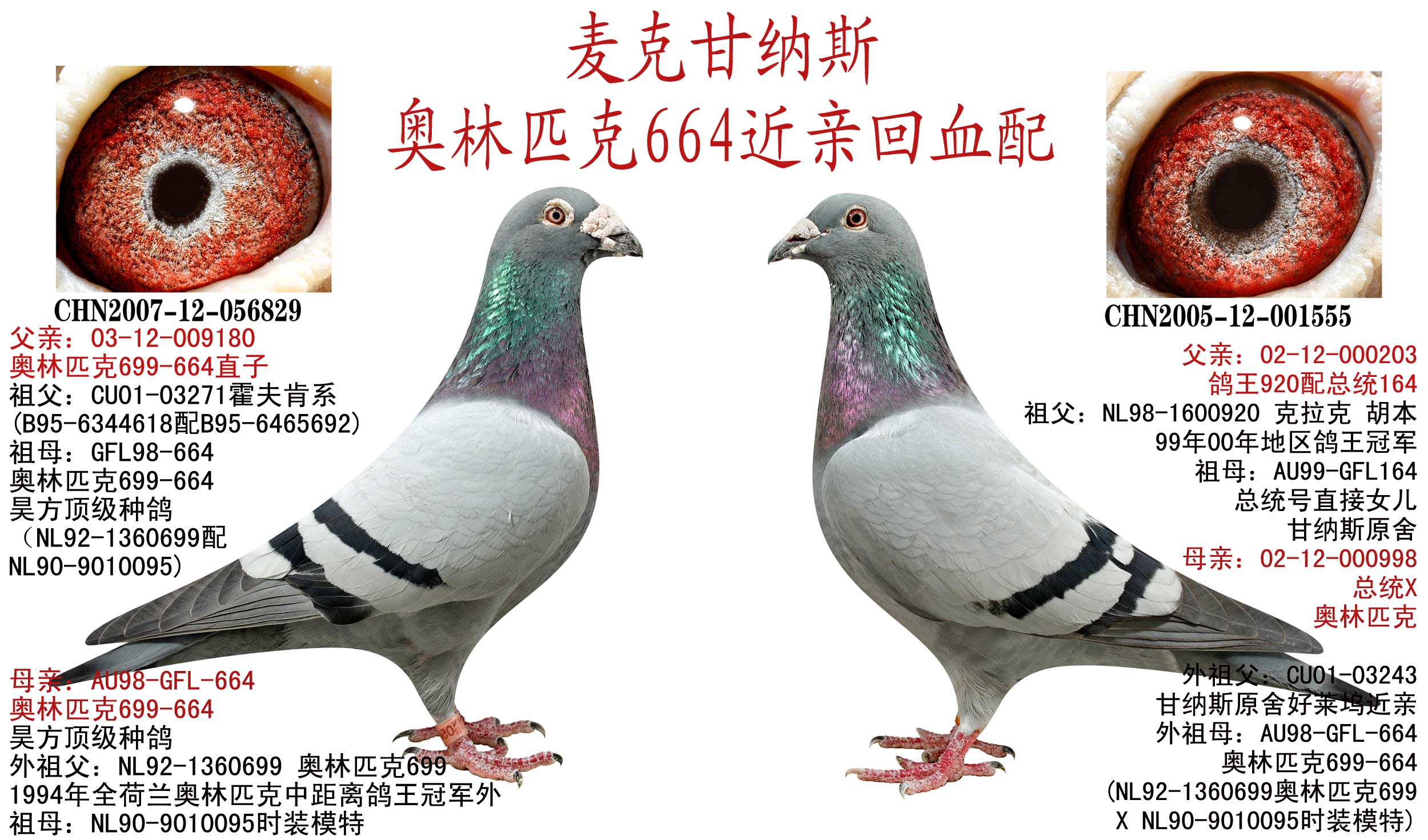 甘纳斯 奥林匹克699回血配