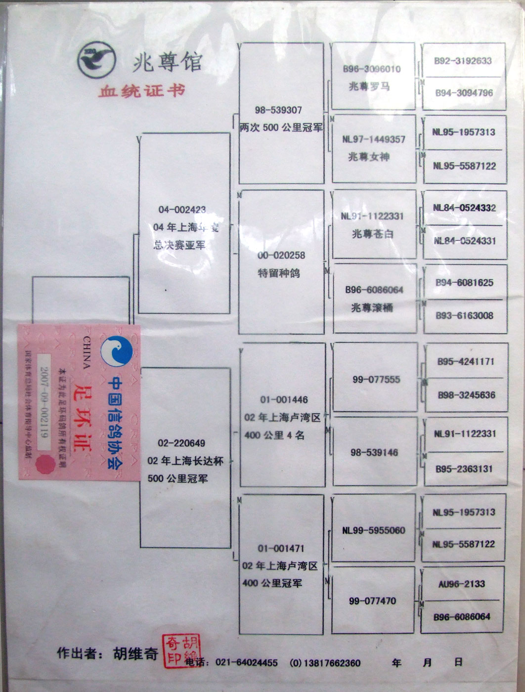 苍白骑士王牌梦幻307孙女【兆尊玉女】