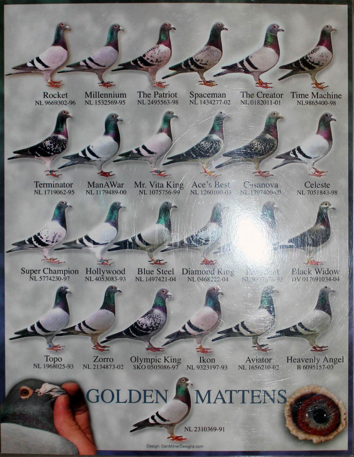 甘纳斯(原舍)699直子×总统号直女