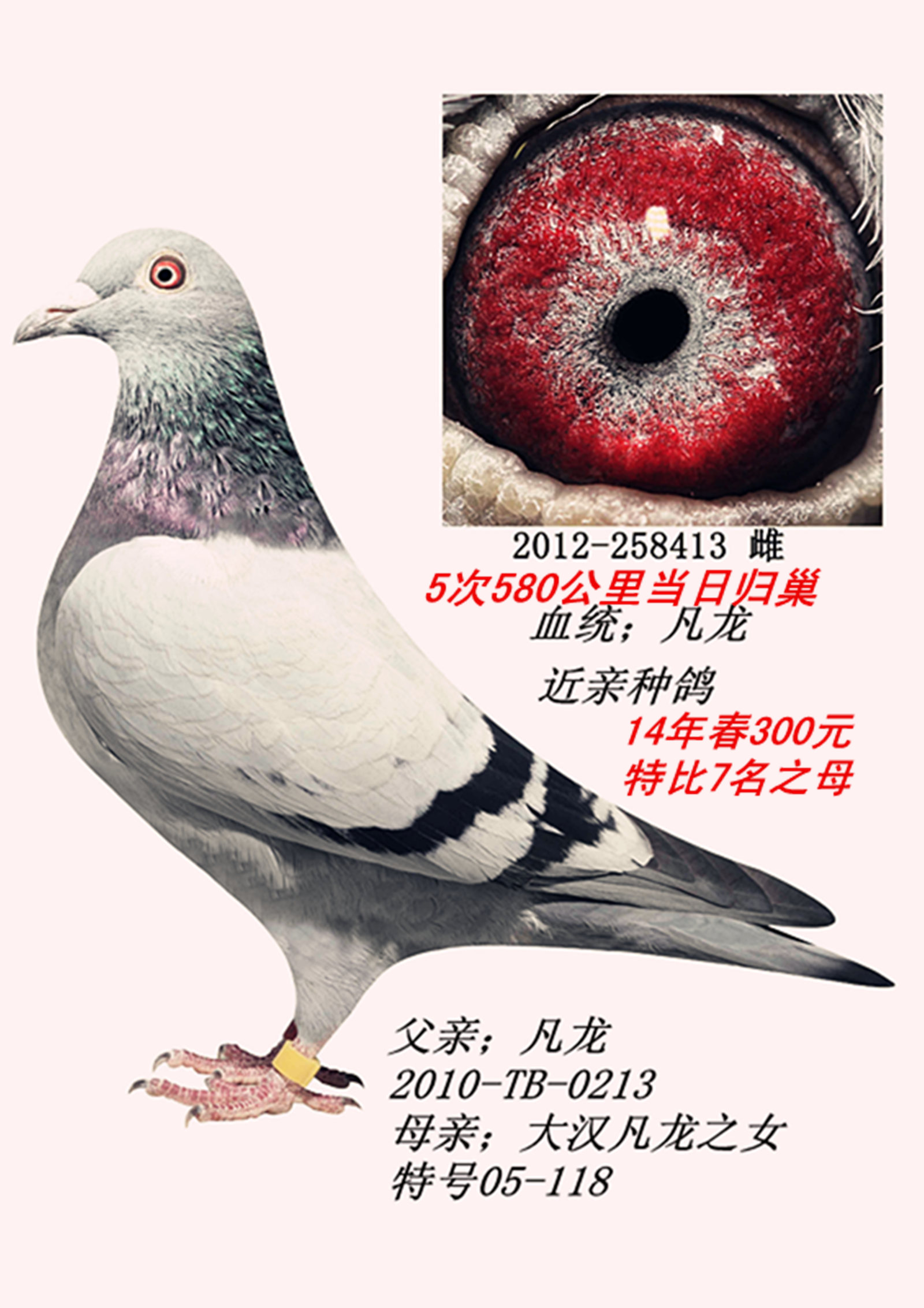 200----800公里所向无敌,,,大