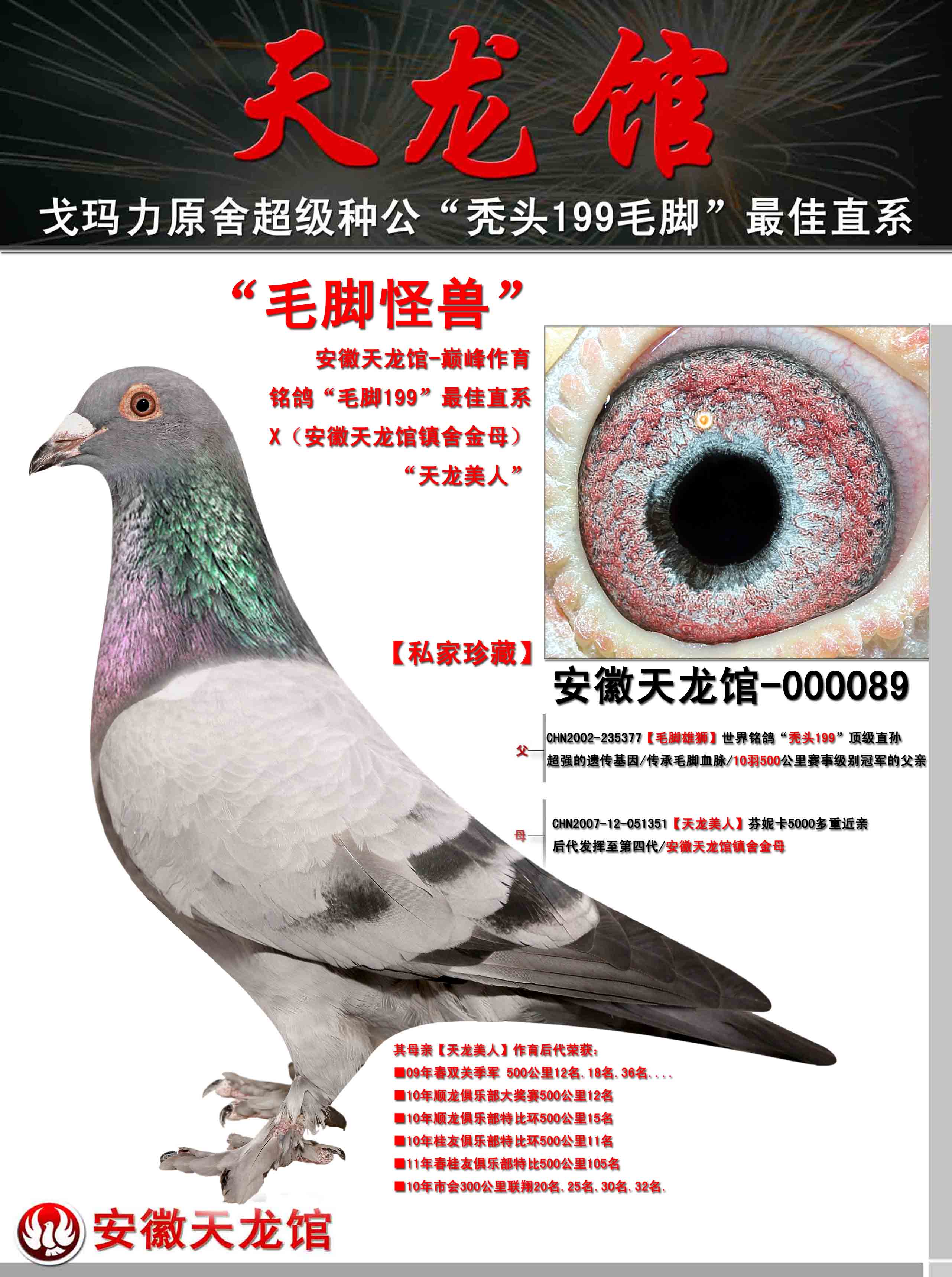 电脑.毛脚:★【毛脚怪兽】