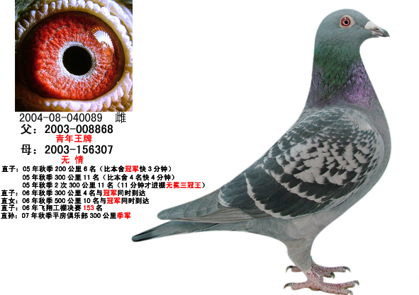 埃米尔 丹尼斯