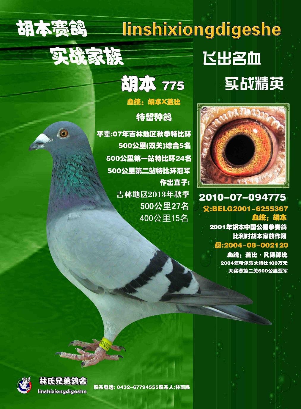 胡本x盖比
