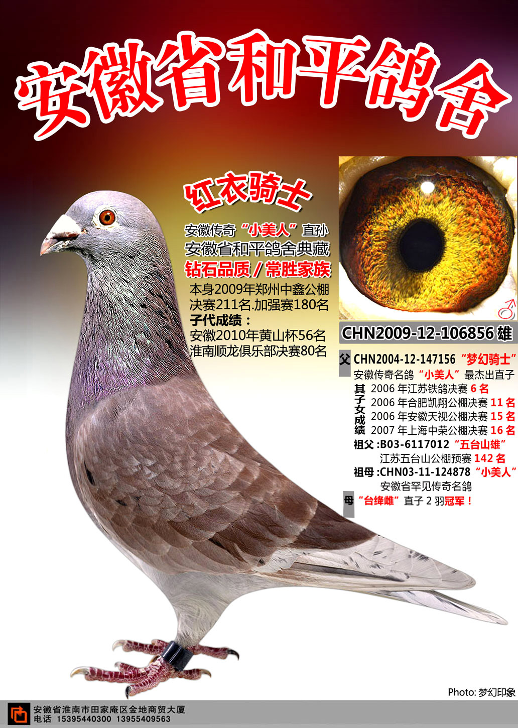 红衣骑士【仅供欣赏】