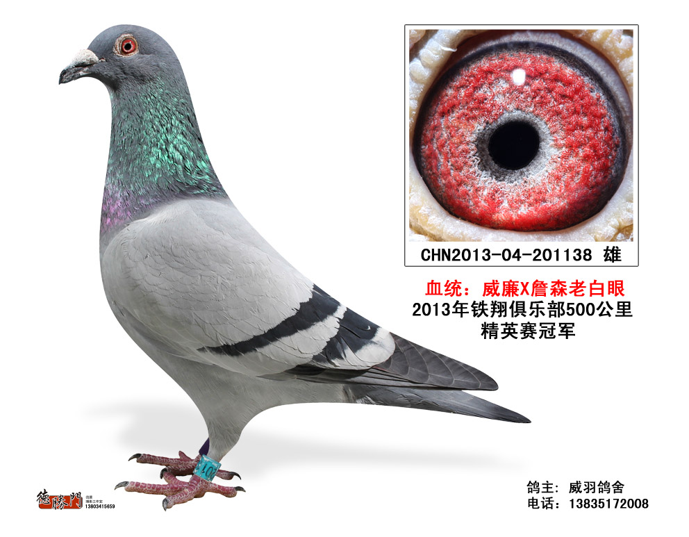 独行侠