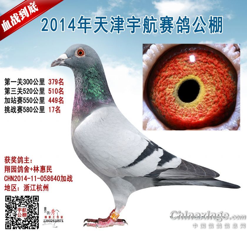 速霸龙640公棚17名