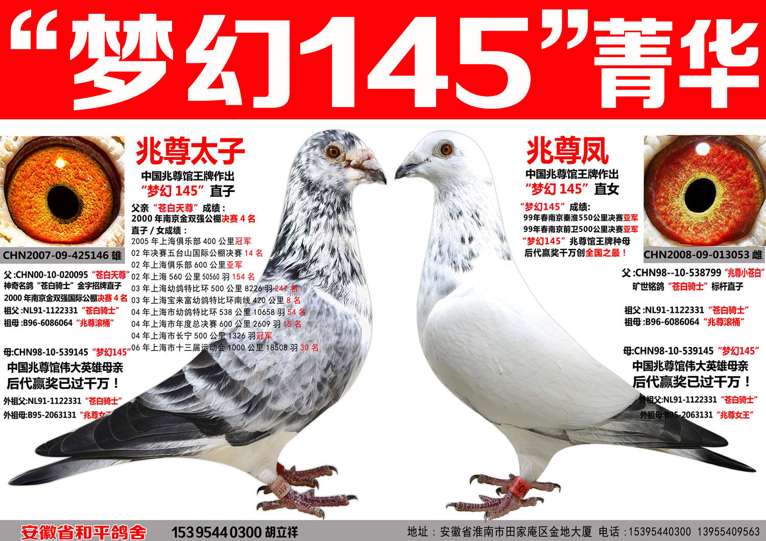 苍白骑士王牌"梦幻145"梦幻组合(七)