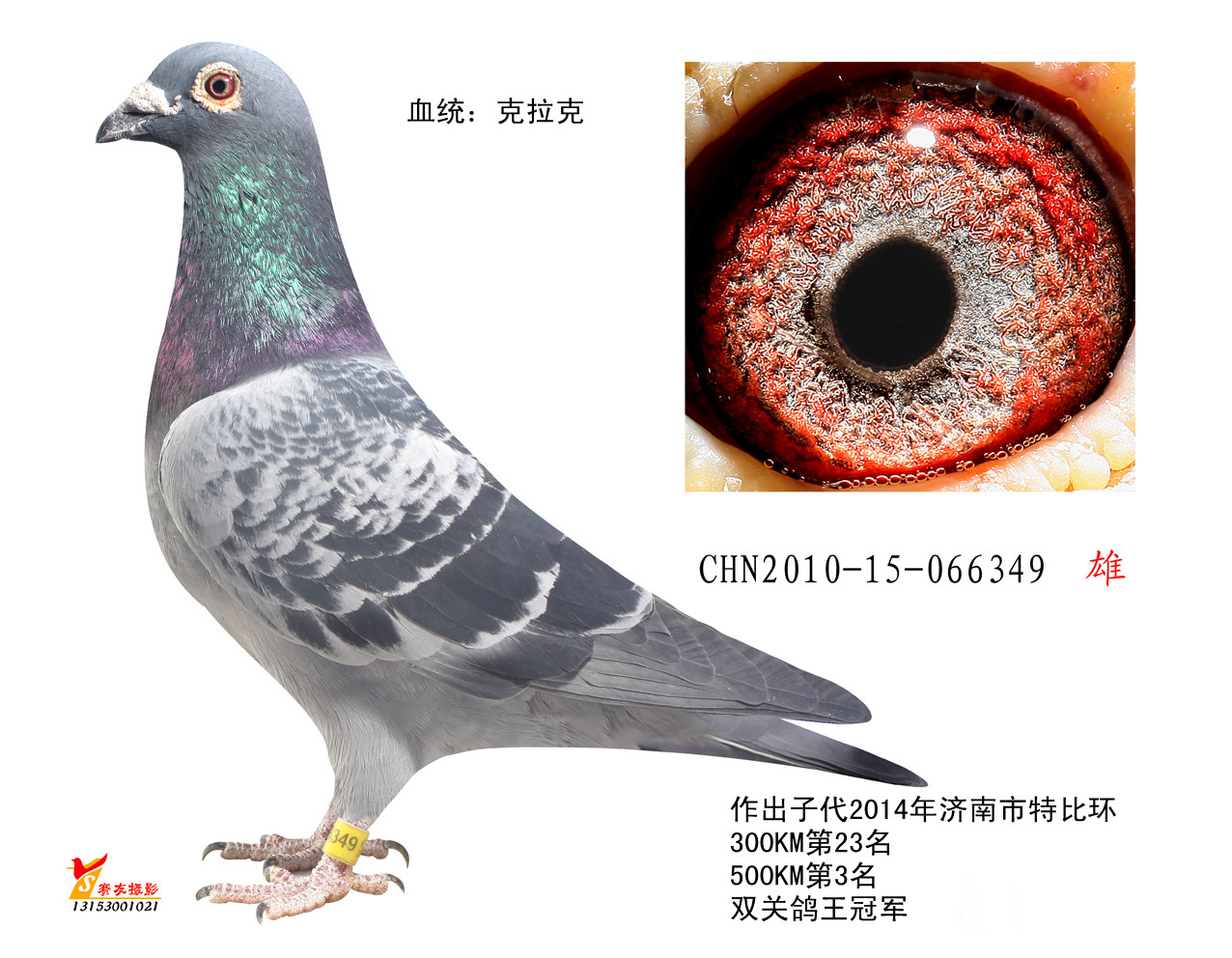 克拉克