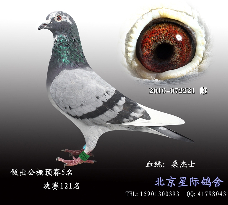 桑杰士