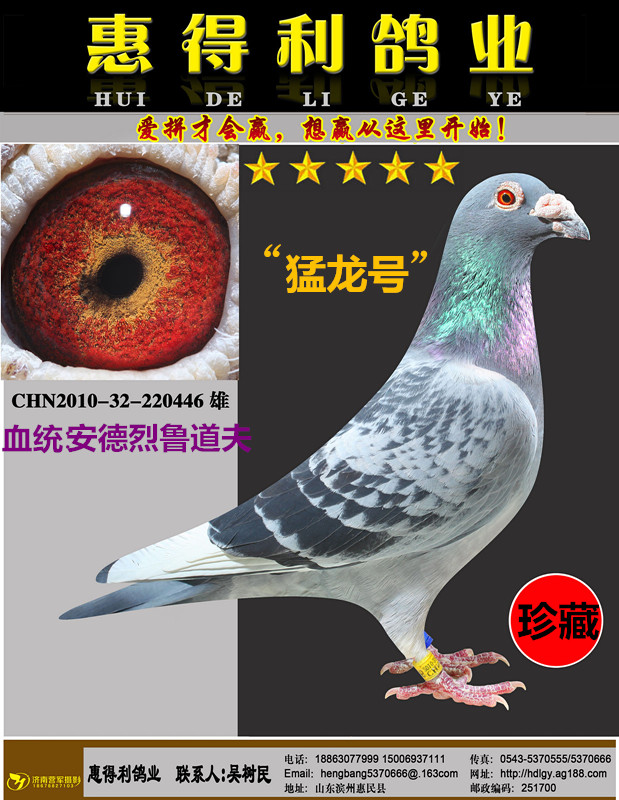 猛龙号