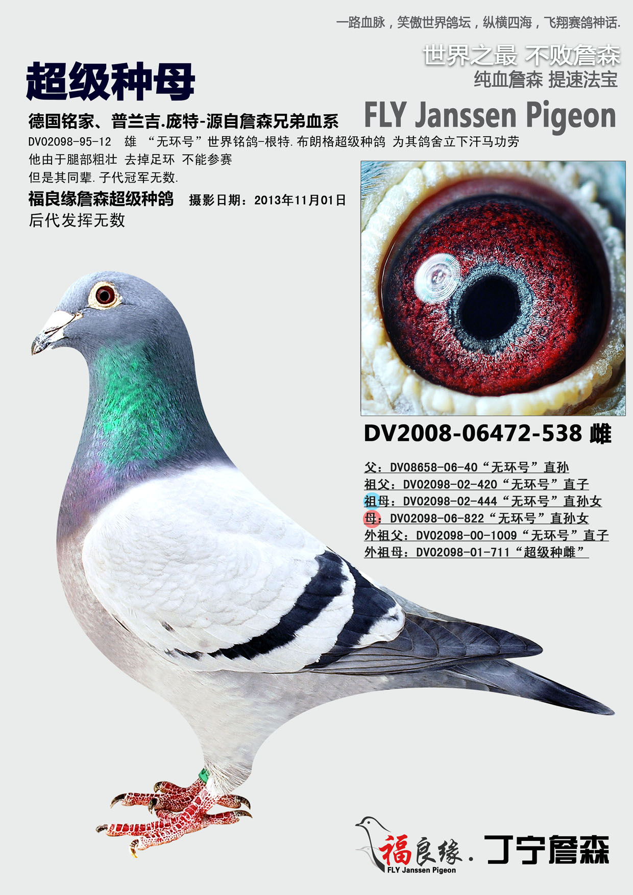 詹森超级种母