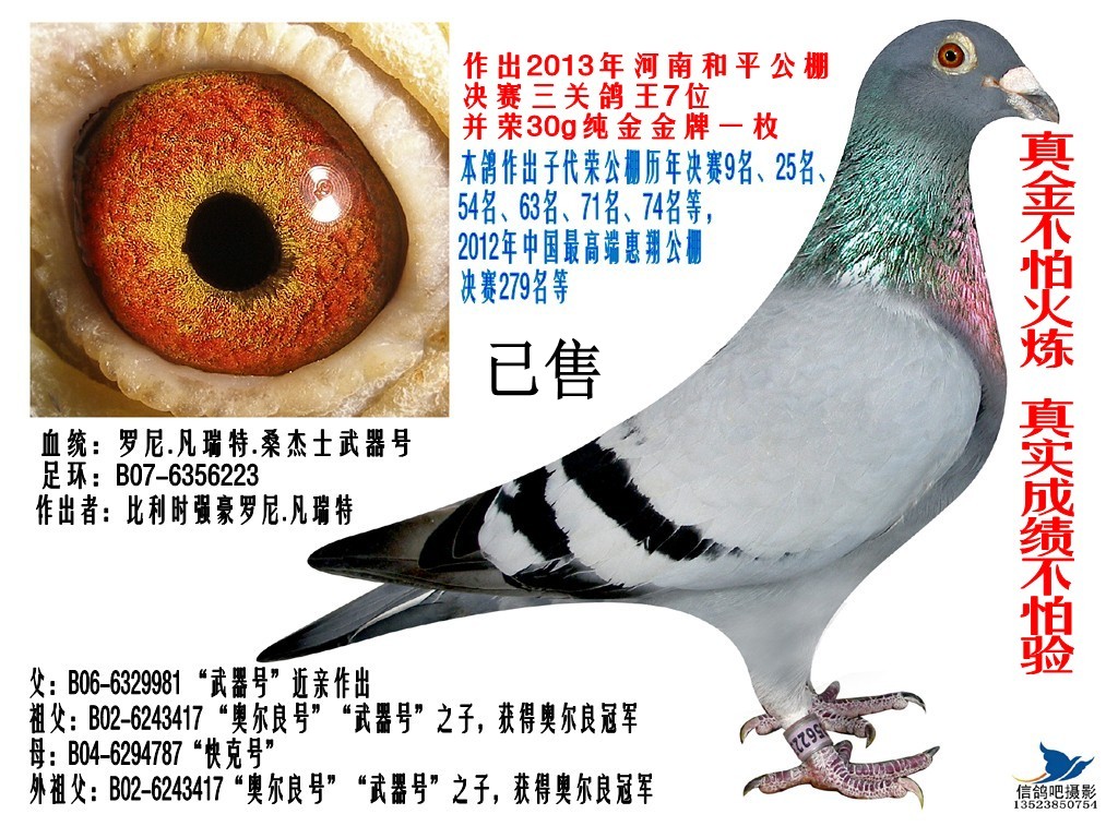 罗尼桑杰士武器号-7
