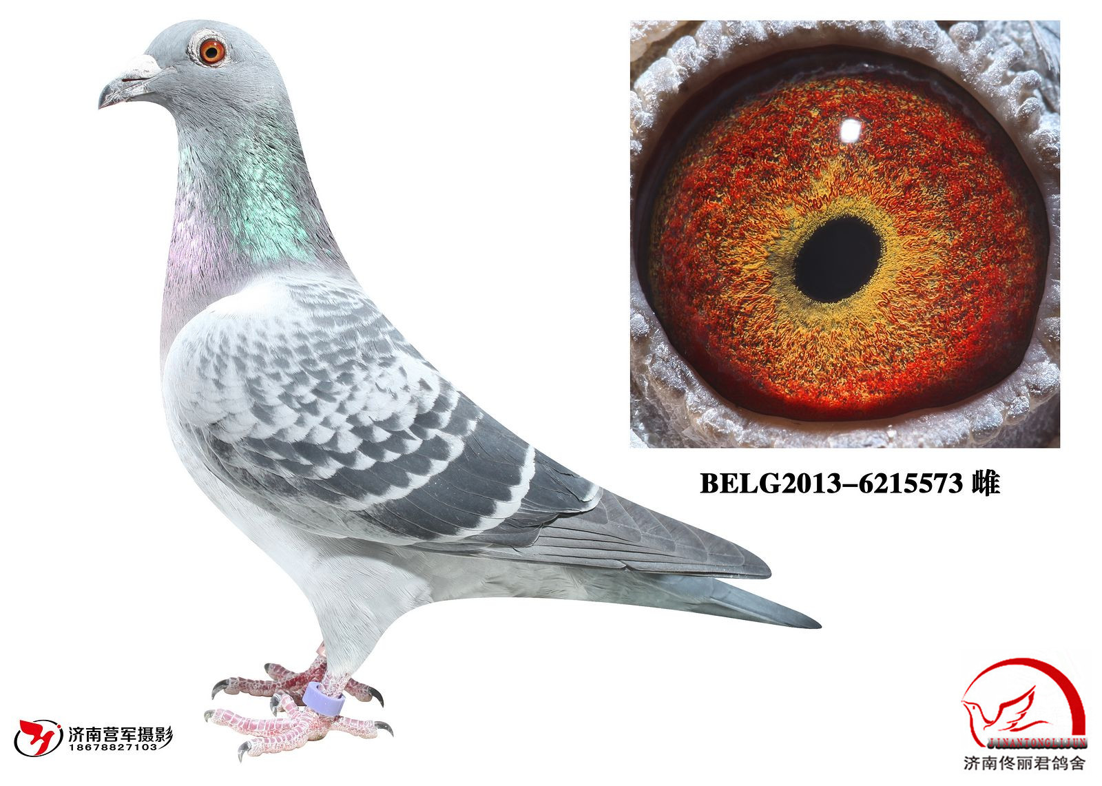 丹尼·凡戴克"加农炮112"直女