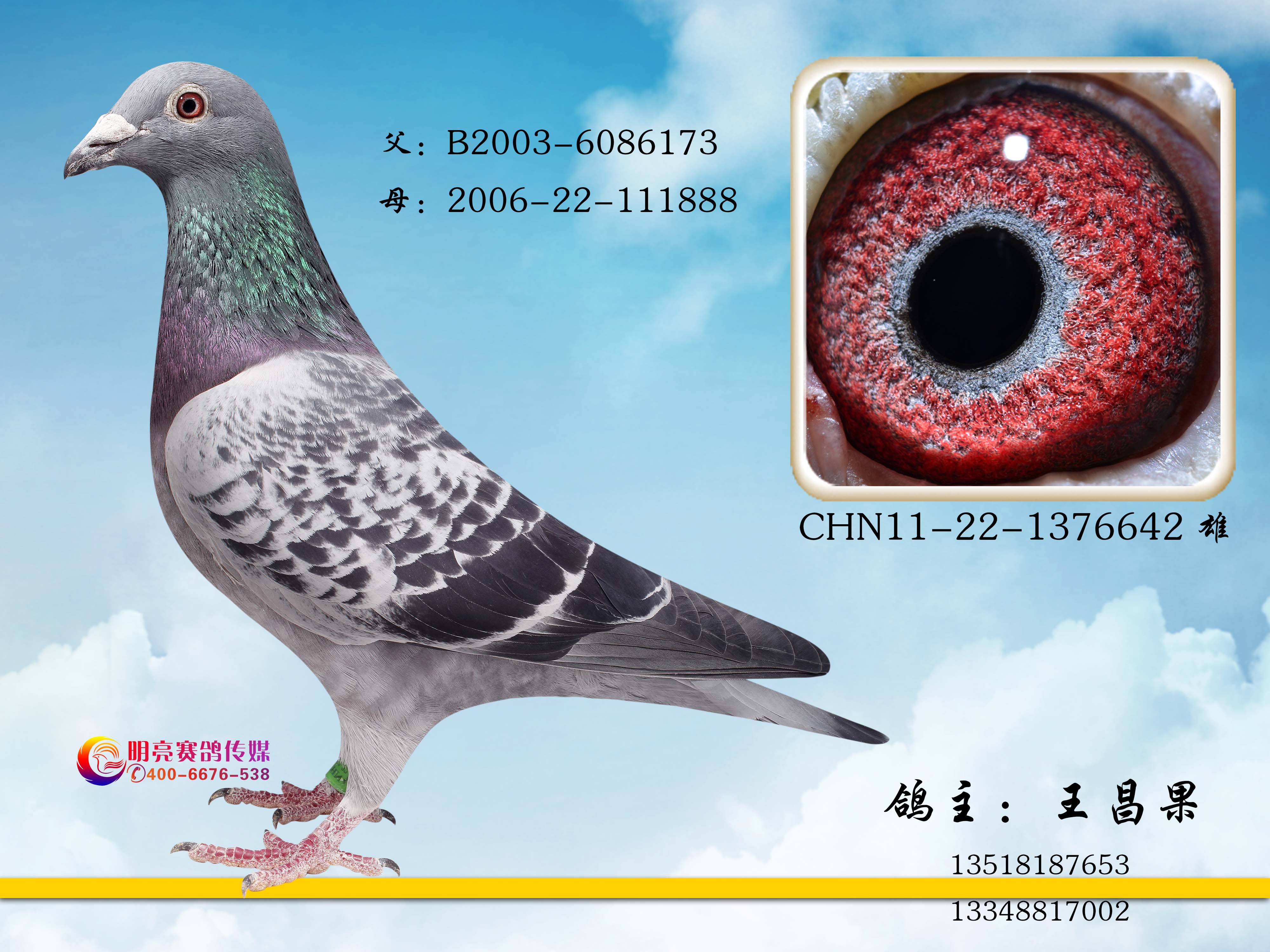 所向无敌x111888(非卖品)