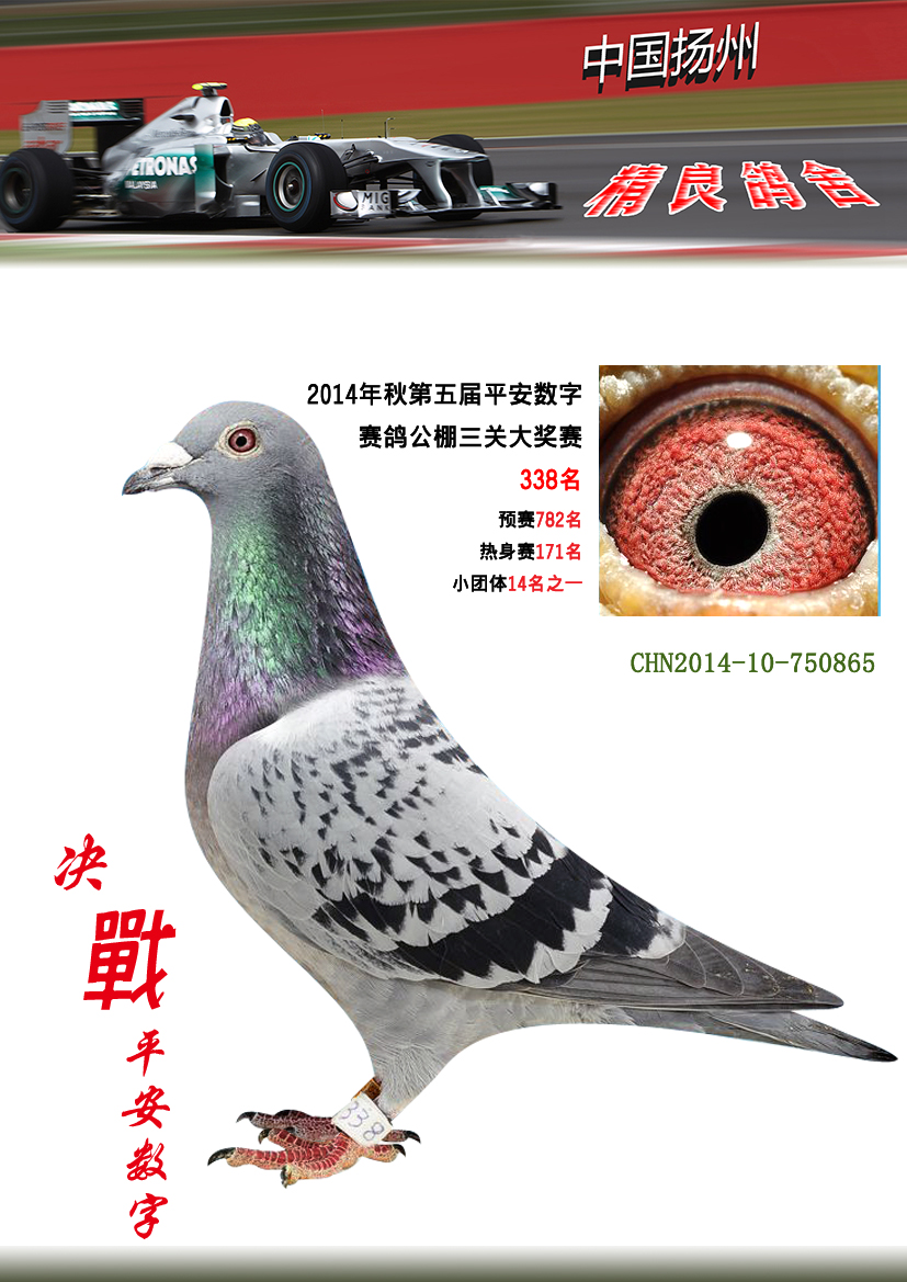 平安数字赛鸽公棚三关大奖赛338名