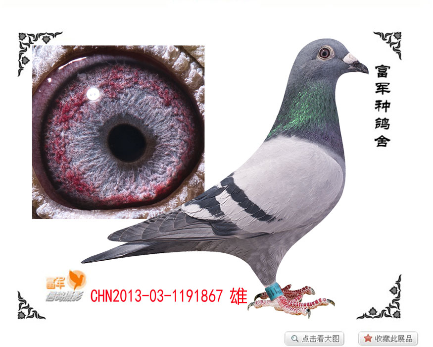 林波尔系