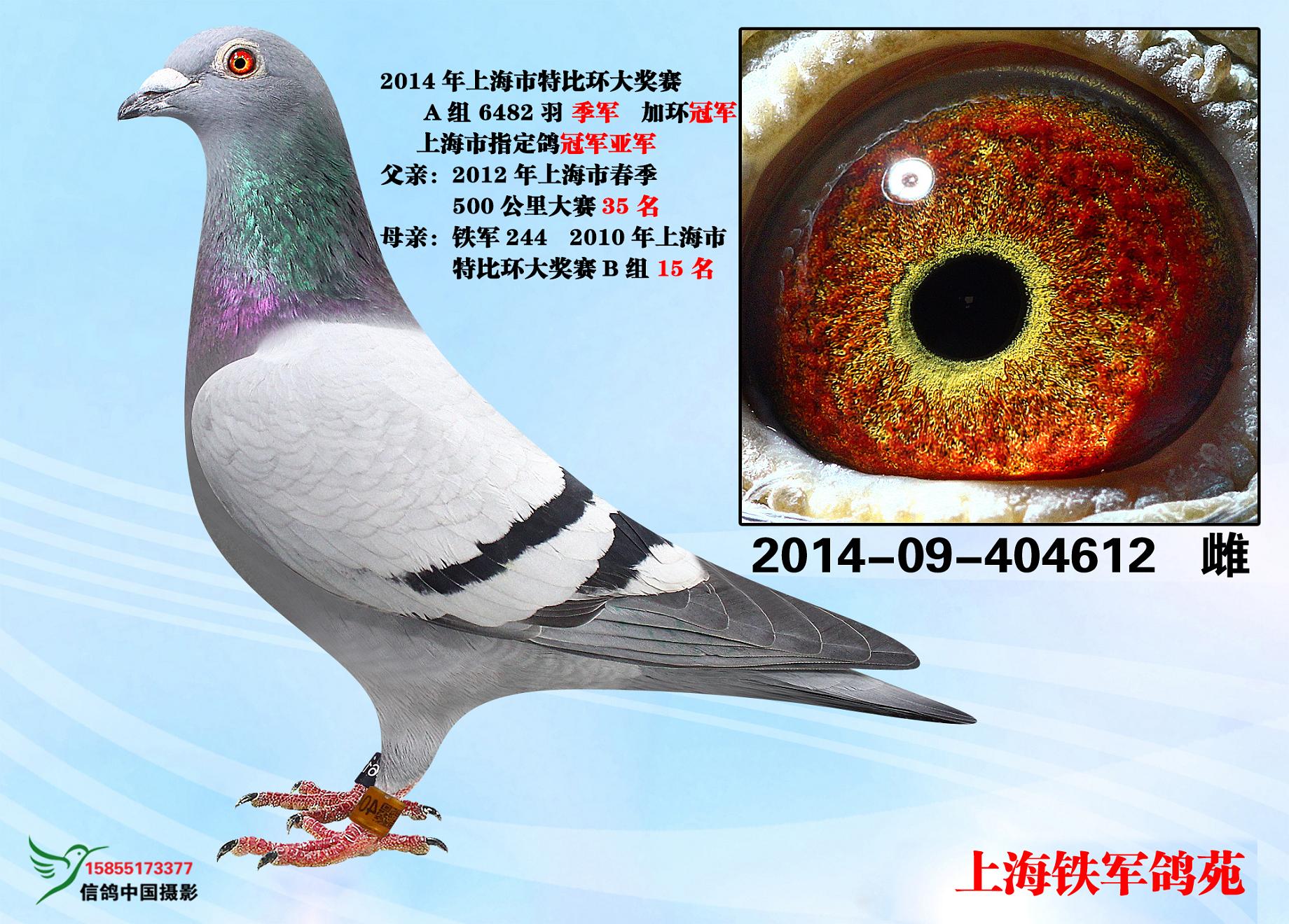 2014年上海市特比环大奖赛a组季军