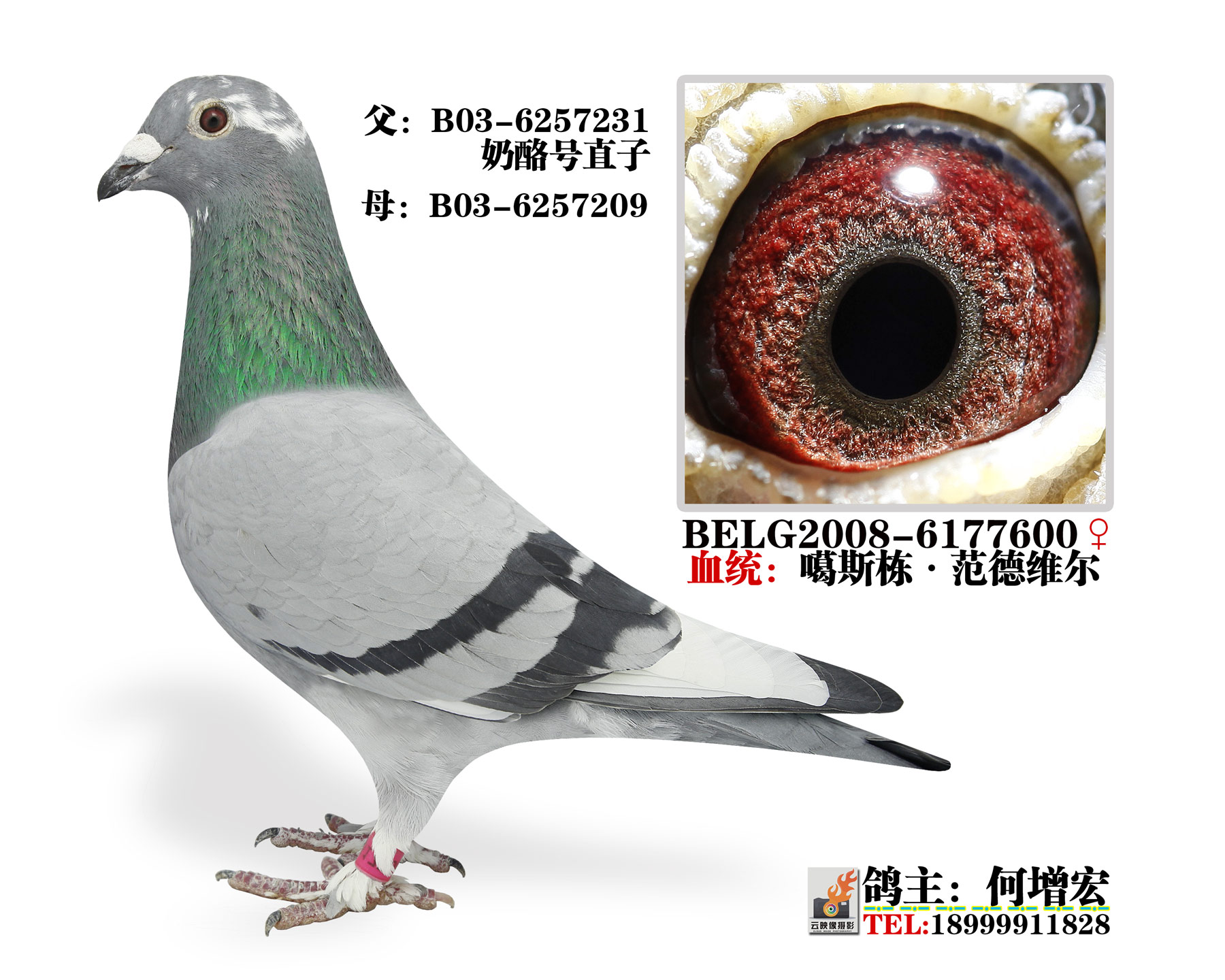 葛斯顿奶酪原舍