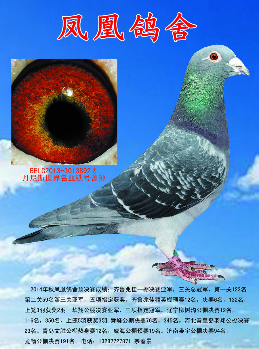 埃米尔.丹尼斯