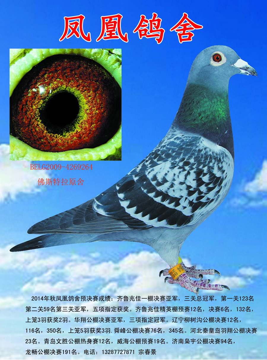 佛斯特拉原舍