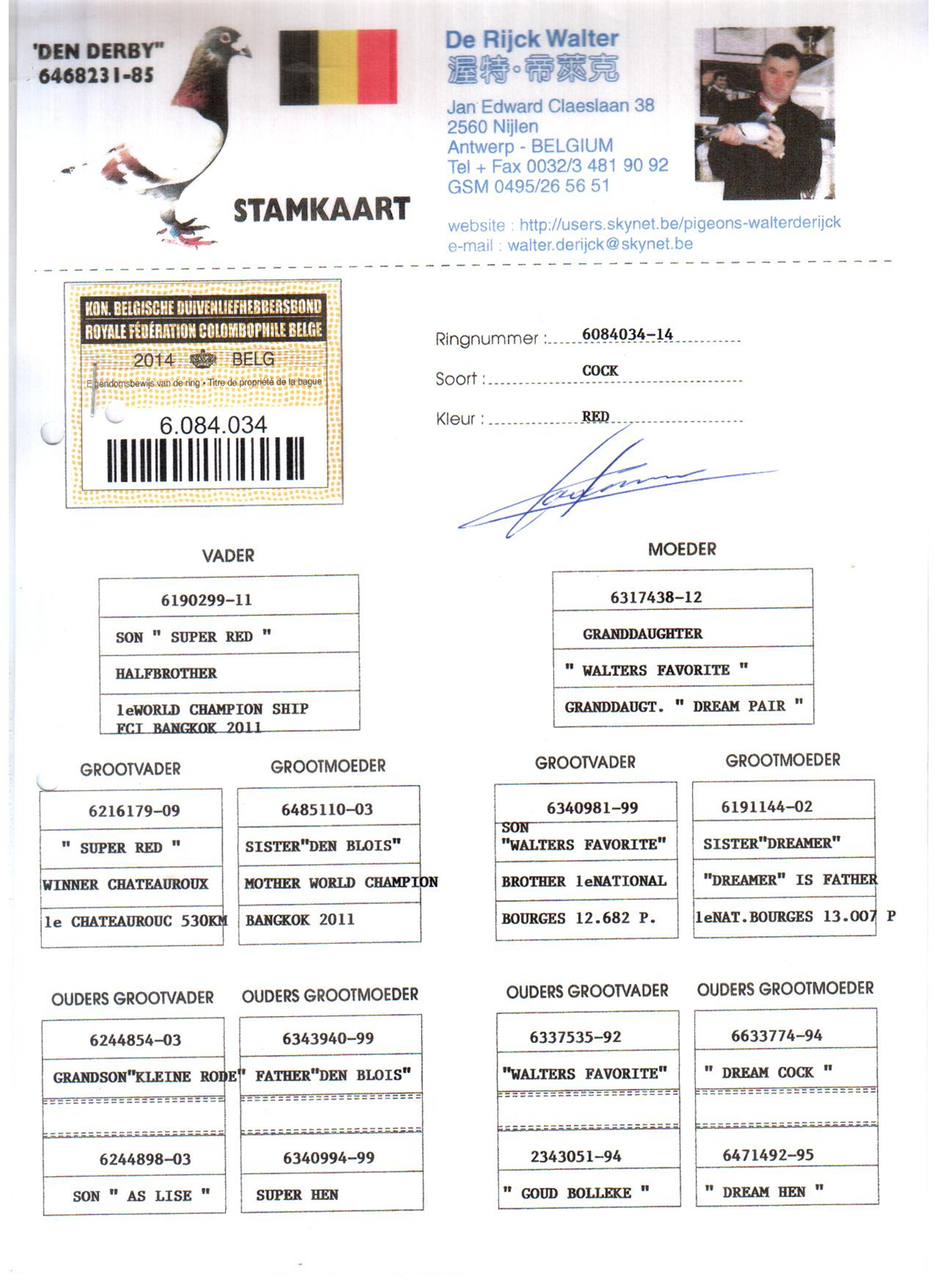 德雷克原舍_上流传奇鸽业_ ag188.com爱鸽商城_中国信鸽信息网