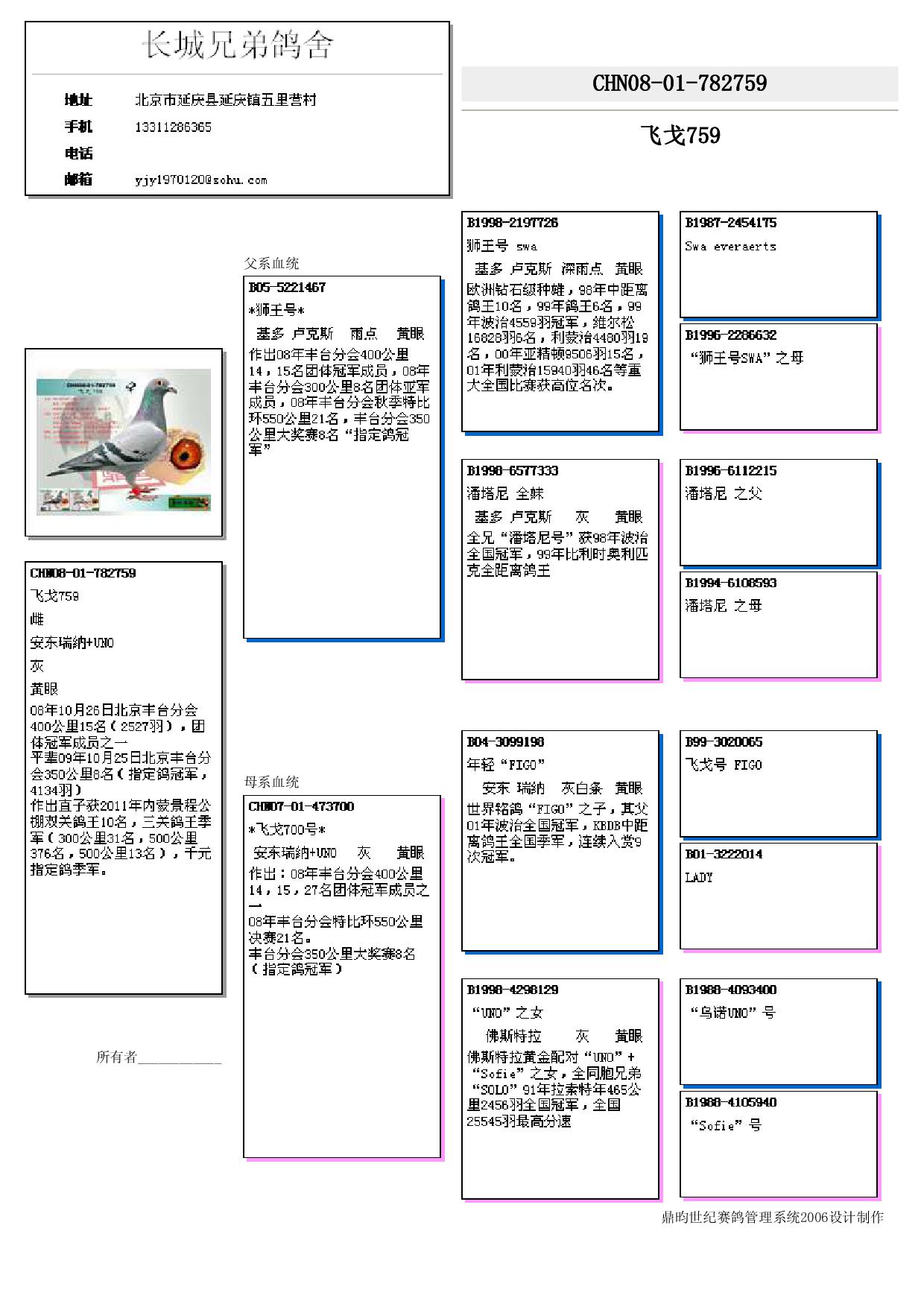 上海风云鸽舍飞戈血统图片