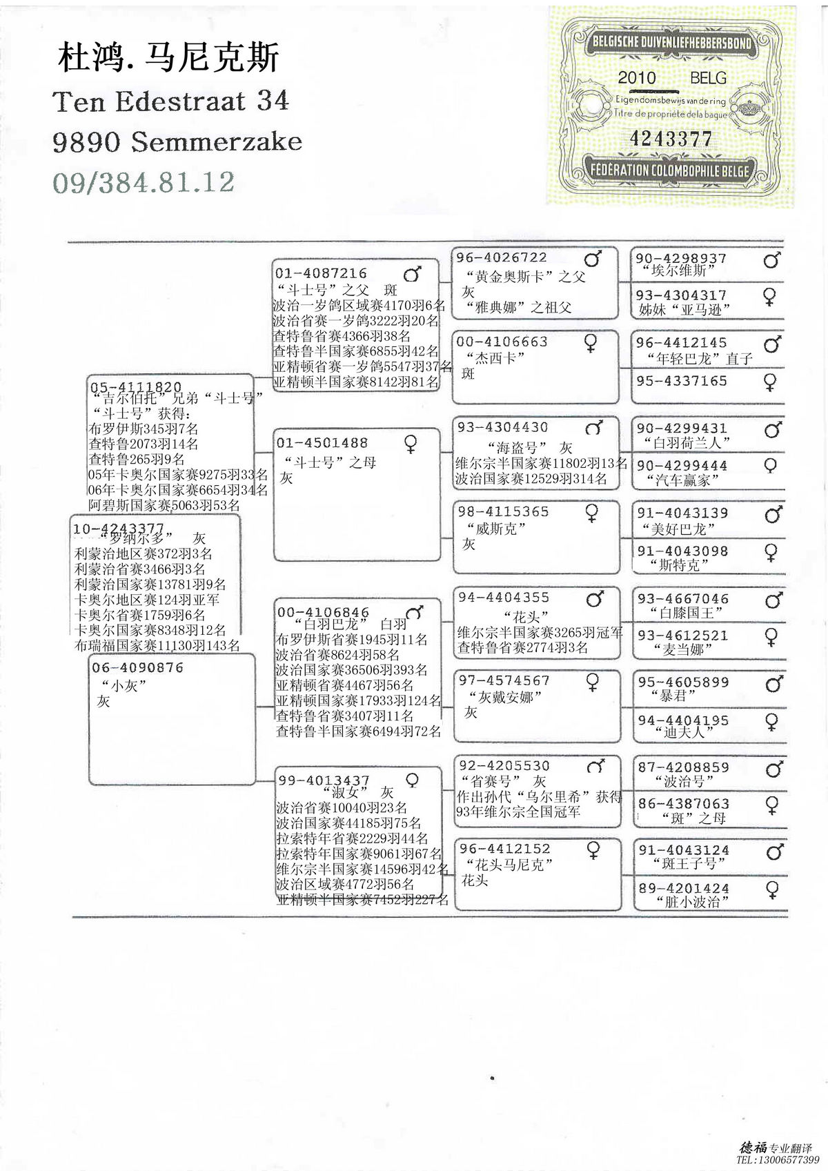 中文血统书