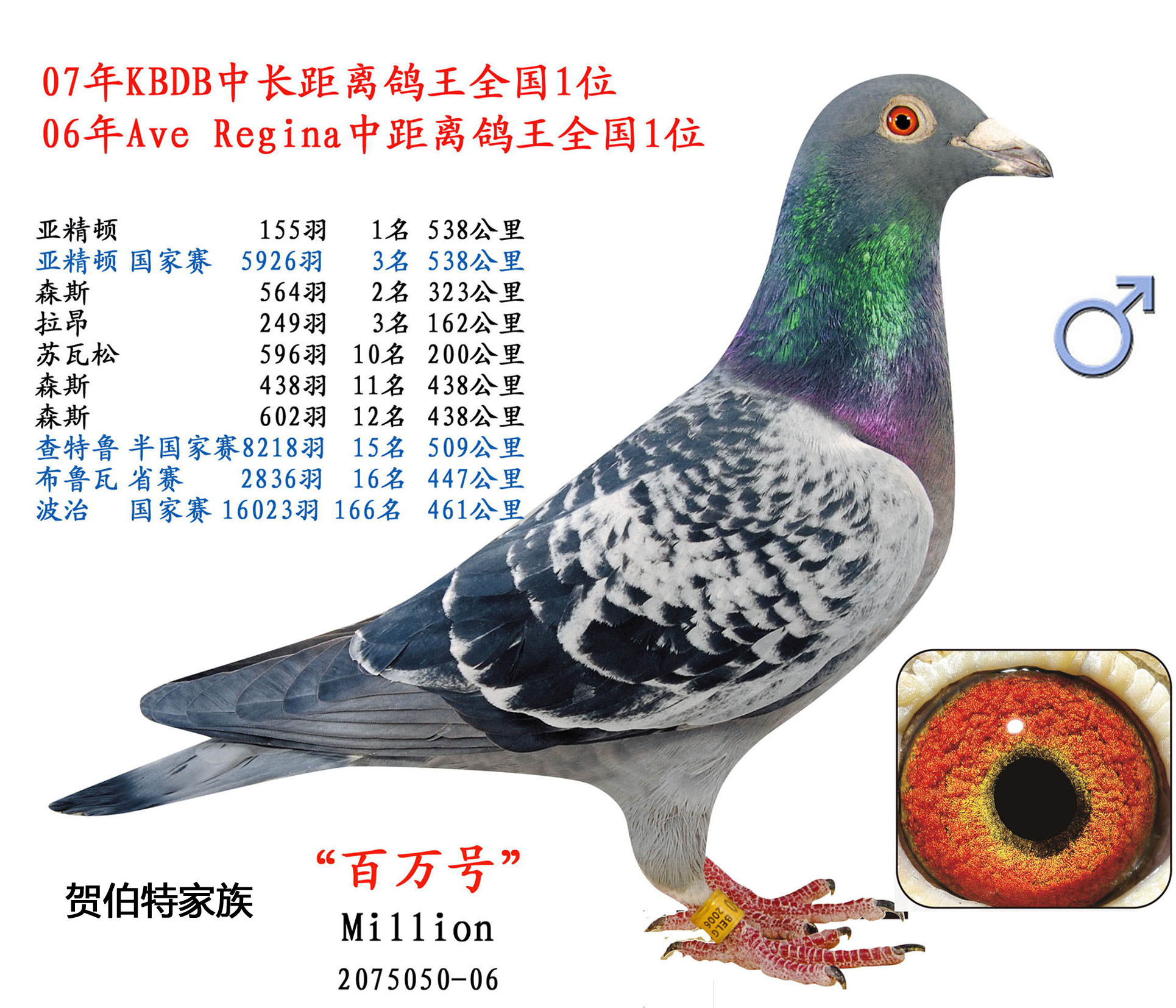 侄子"百万号"