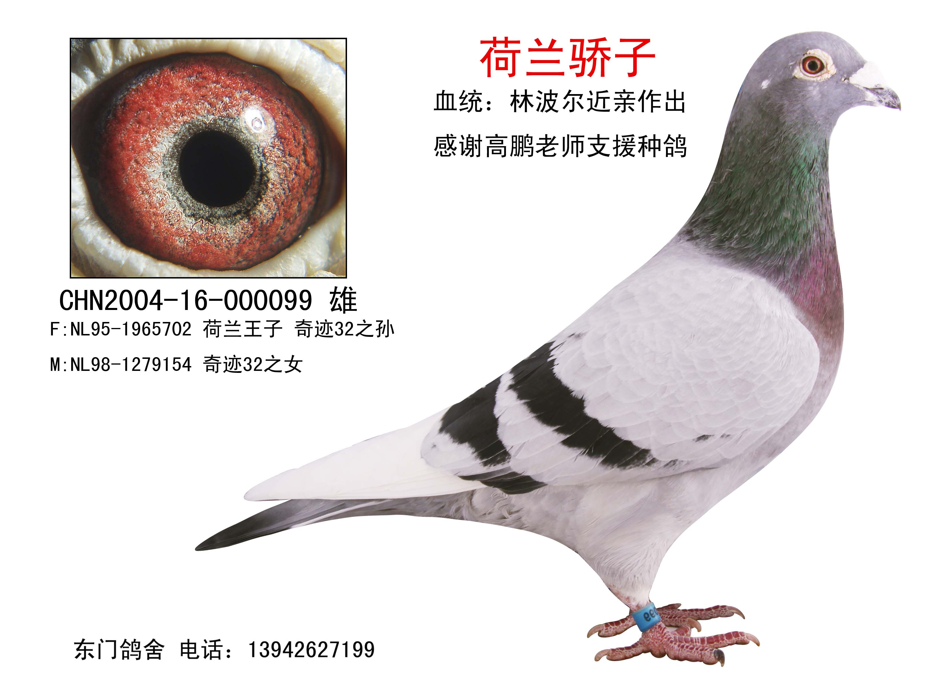 奇迹32