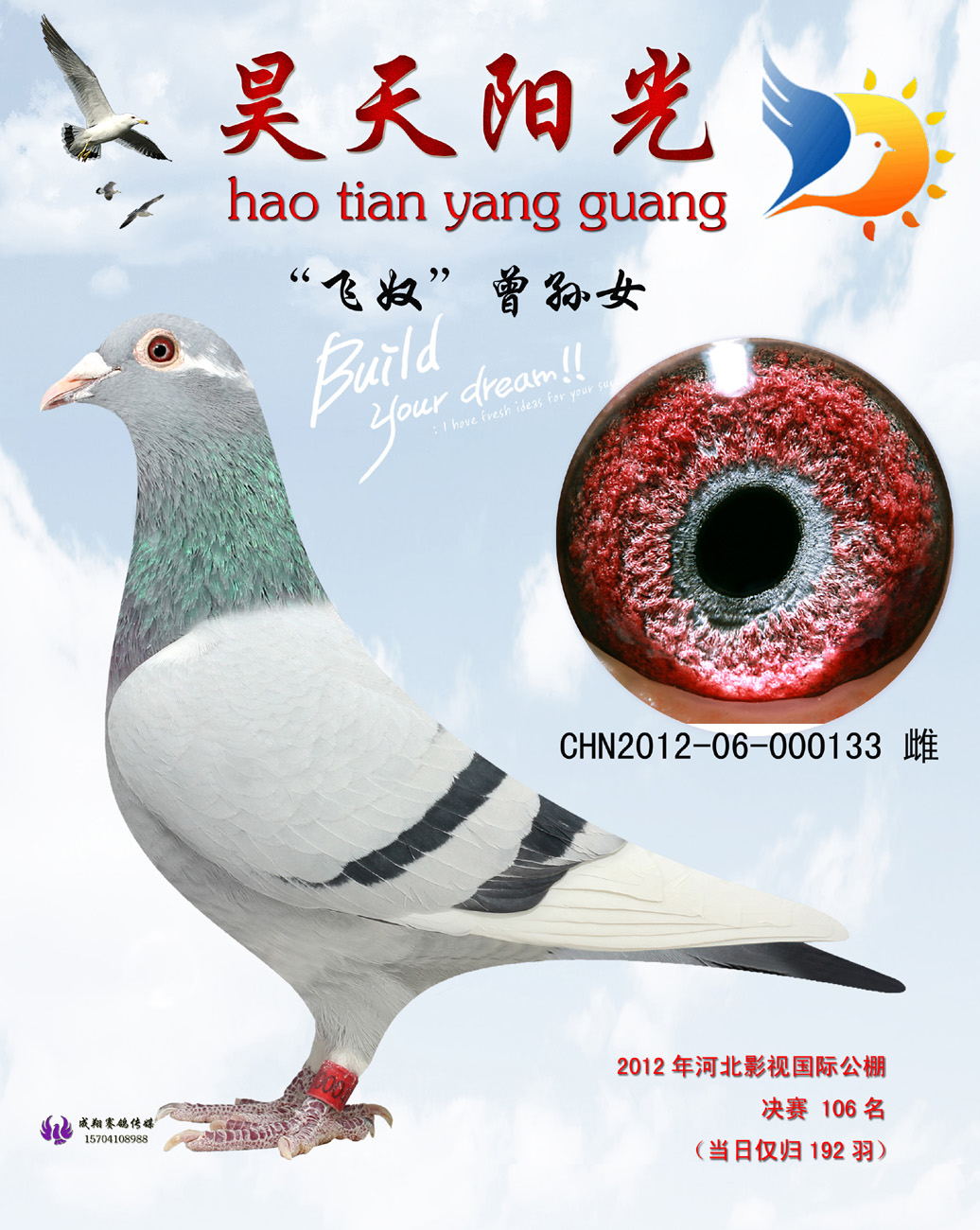 乔斯托内"飞奴"133