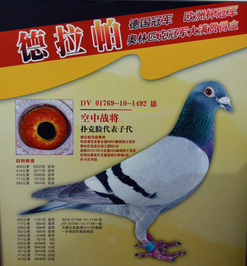 德拉帕