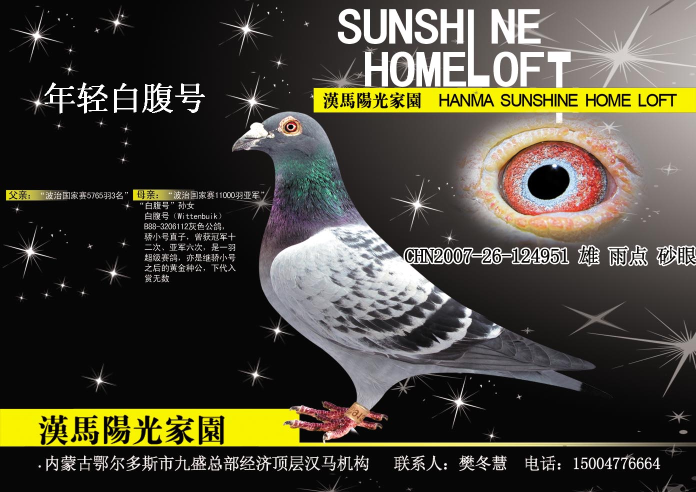 年轻白腹号(仅供欣赏)