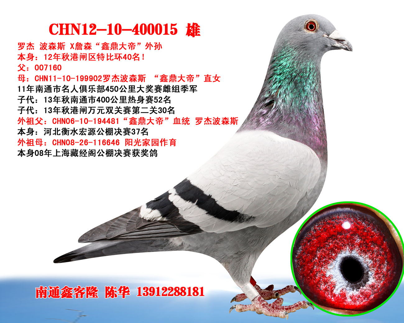 通鑫商城下载：打造便捷购物体验