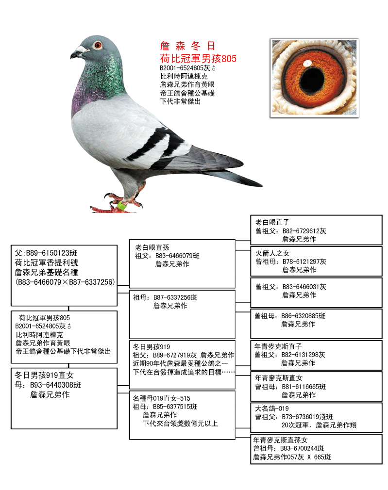 宁夏詹森大本营图片