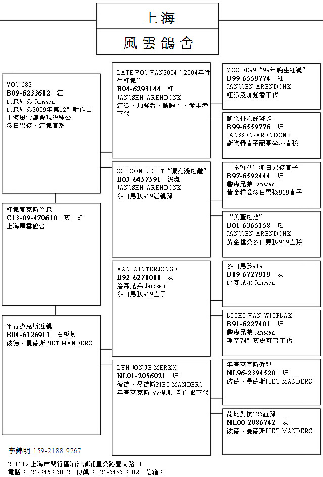 詹森冬日男孩919血统表图片