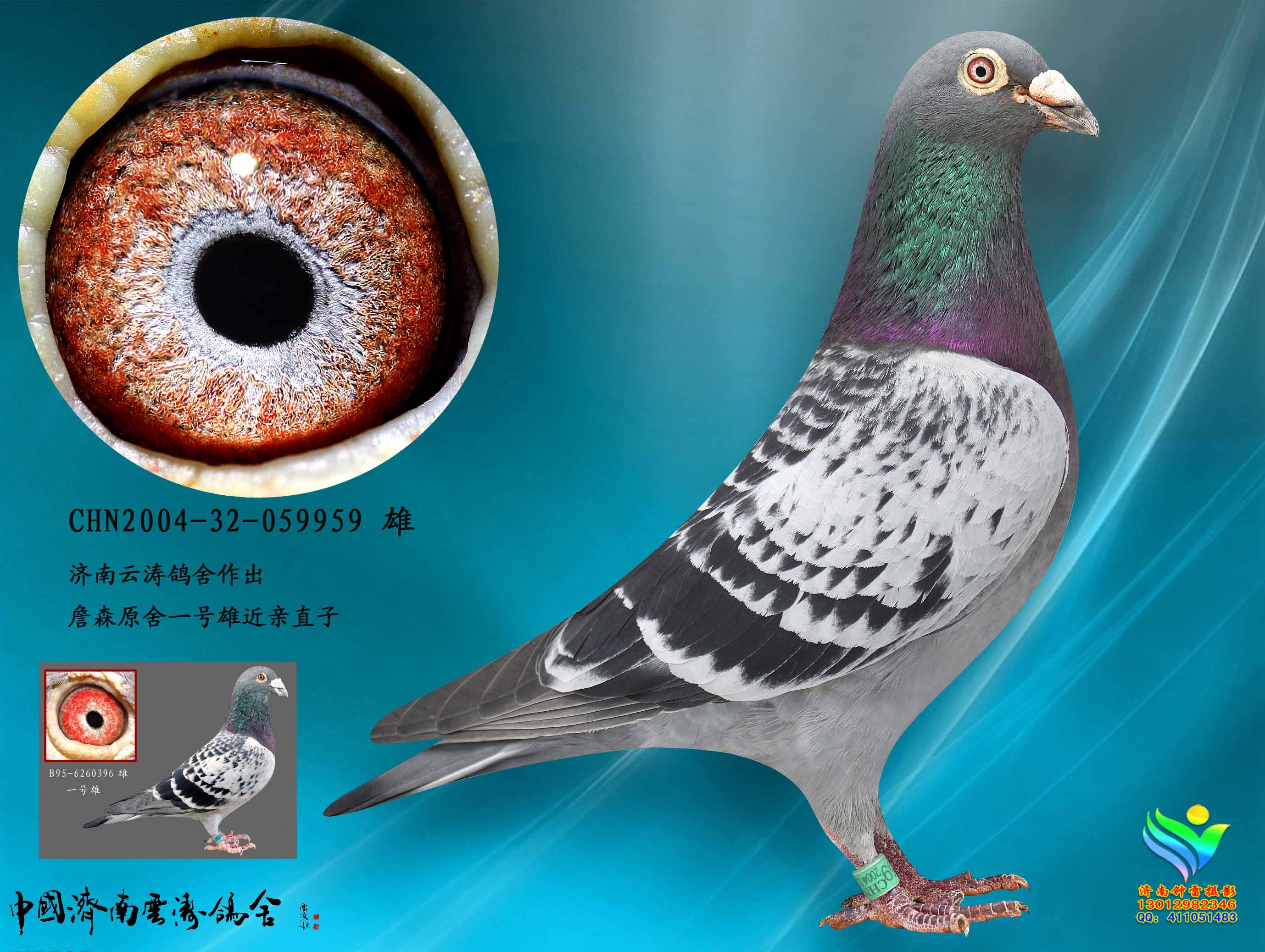 詹森一号雄直子