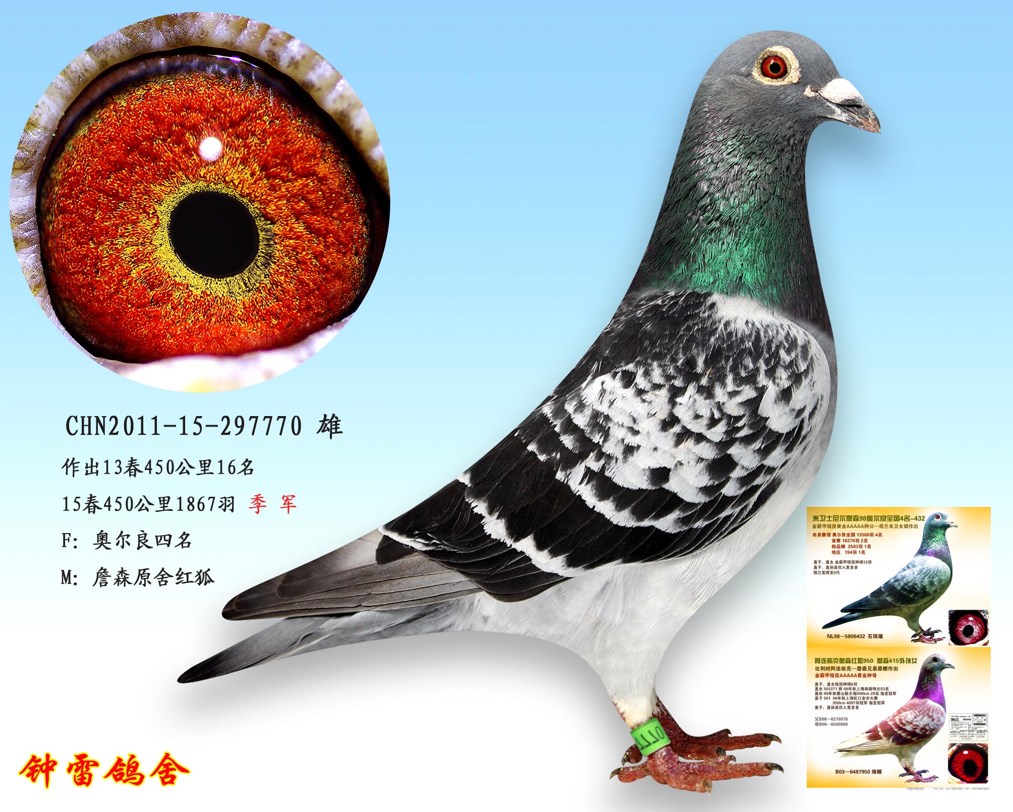 2015春450公里季军(已售)