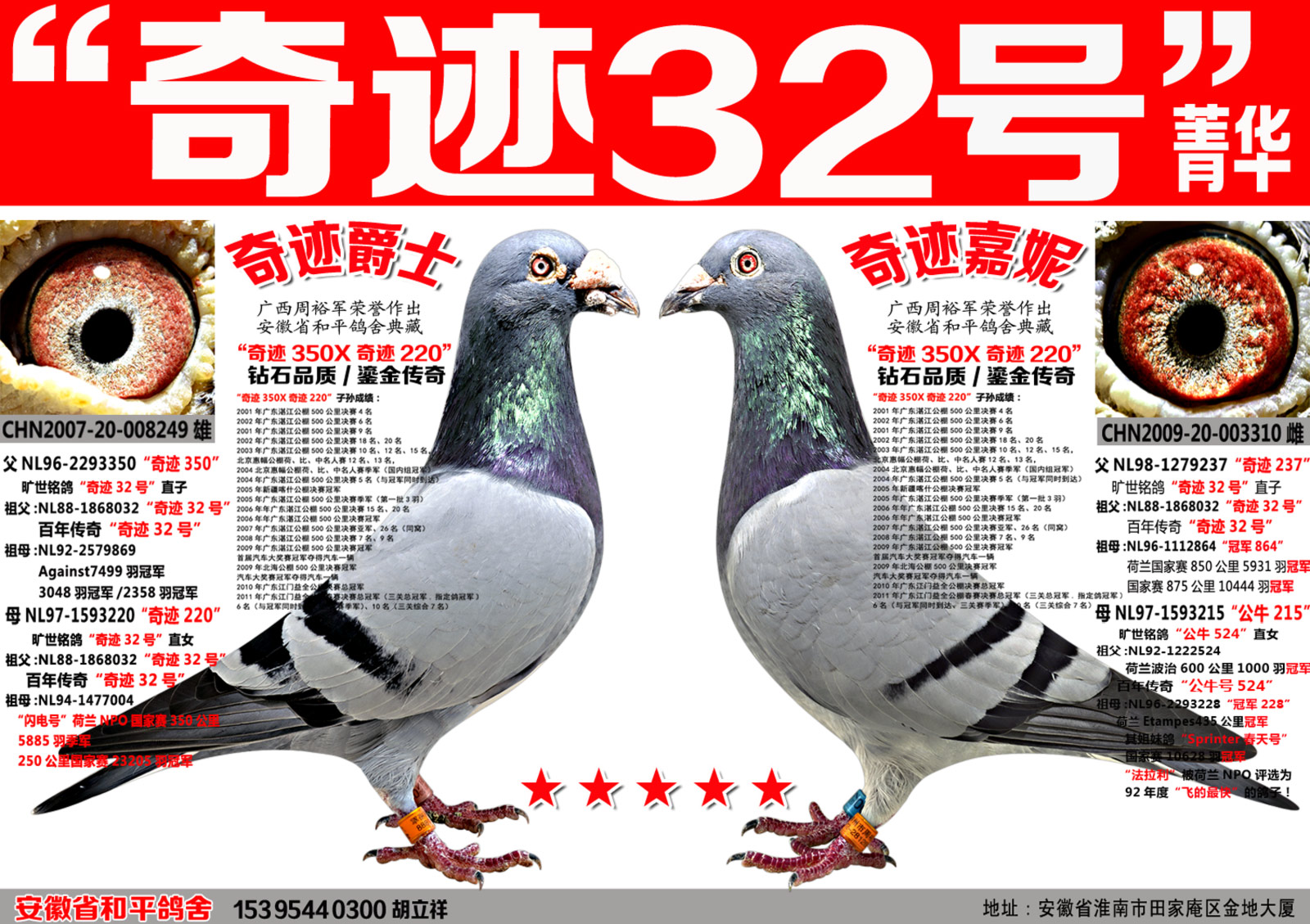 林波尔奇迹32号超速组合