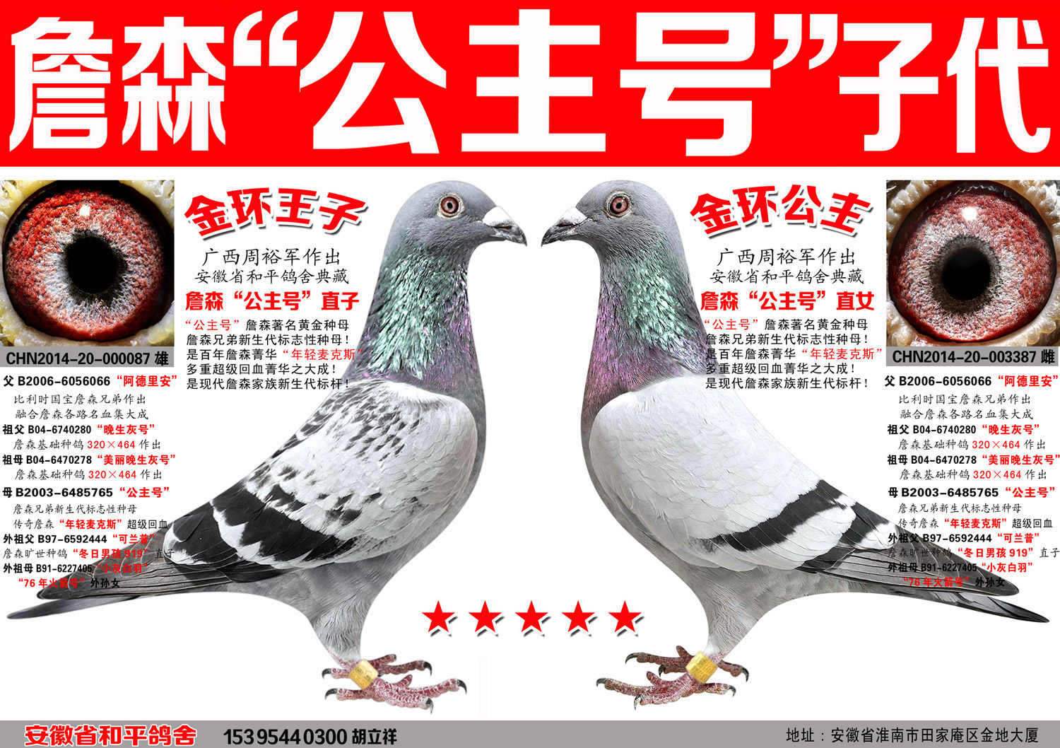 詹森原舍公主号【公主号直子※公主号直女】