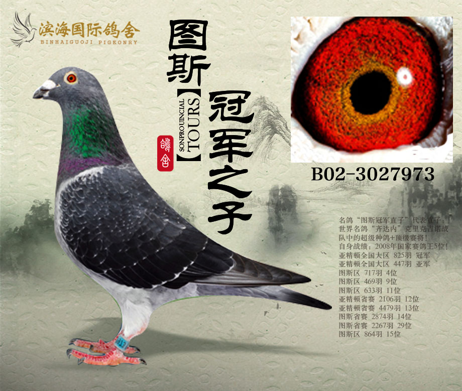 图斯省冠军直子