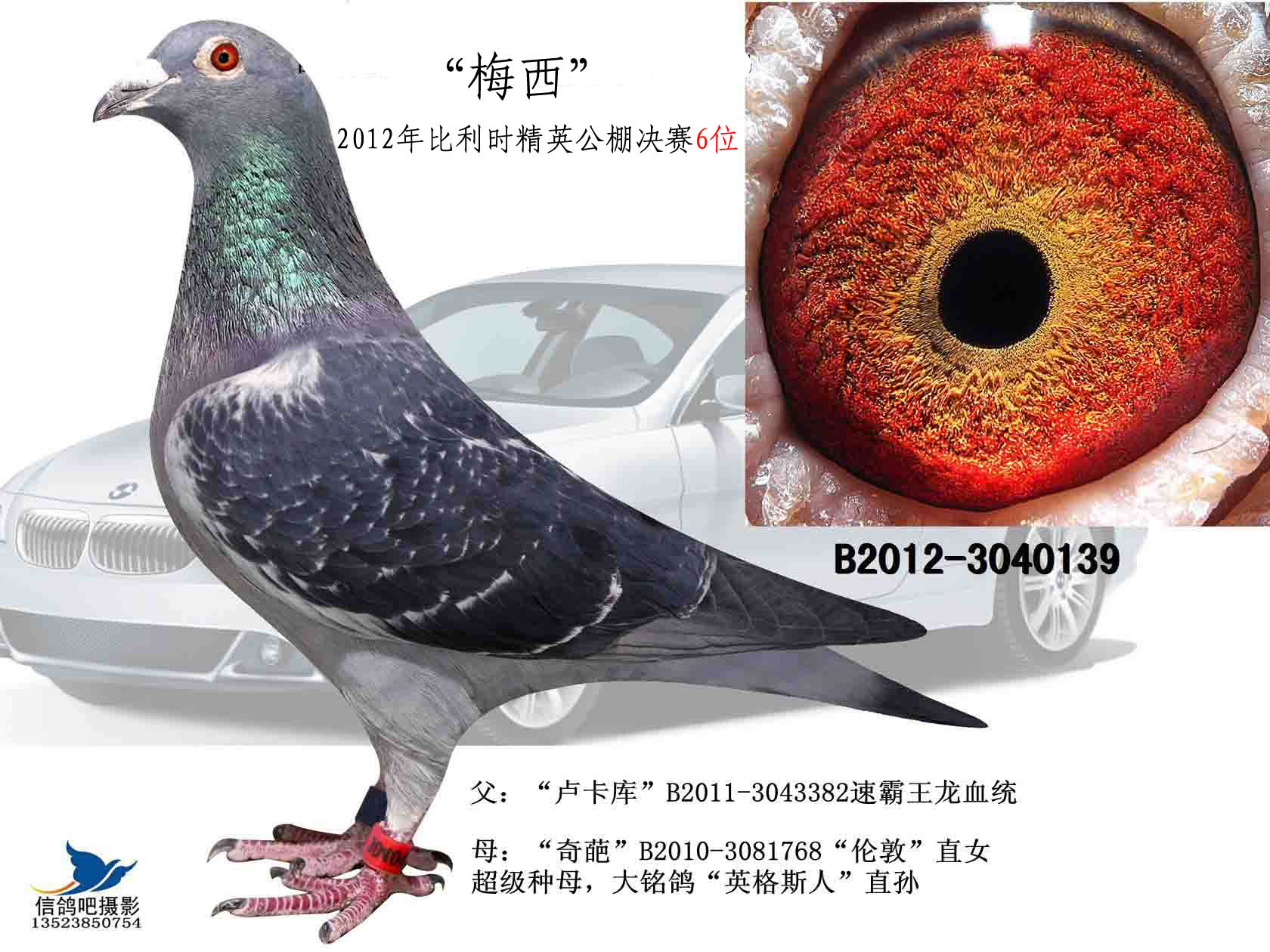 比利时精英公棚决赛6位