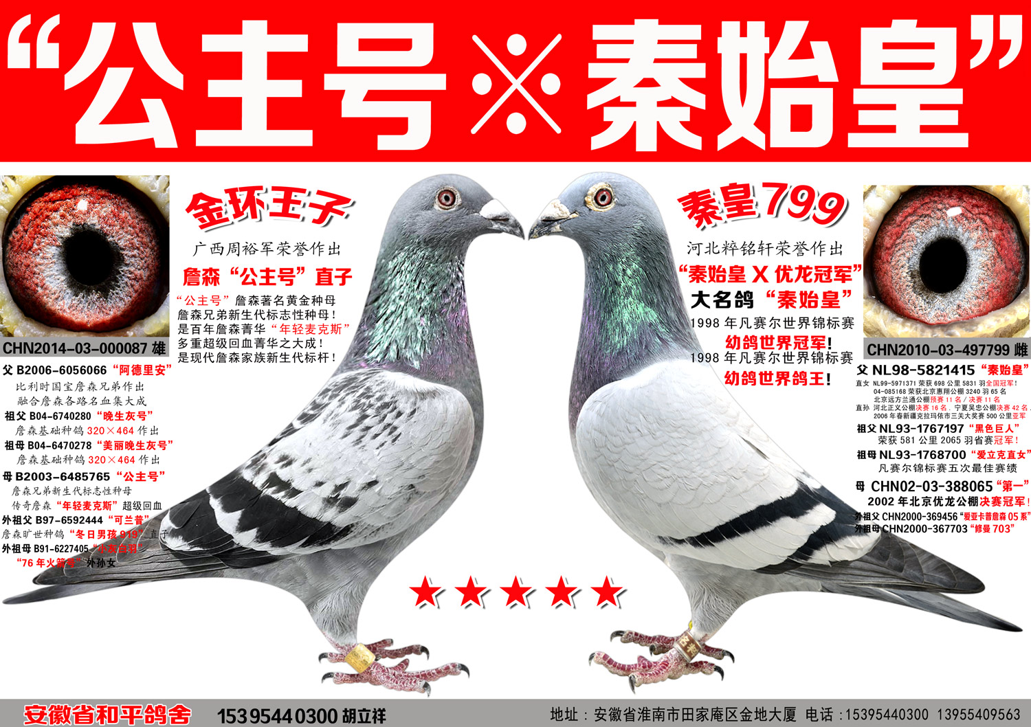 考夫曼秦始皇【秦始皇直子※秦始皇直女】